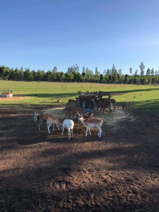 LarvSjoetorps Saeteris Bed & Breakfast Flygeln住宿加早餐旅馆 外观 照片